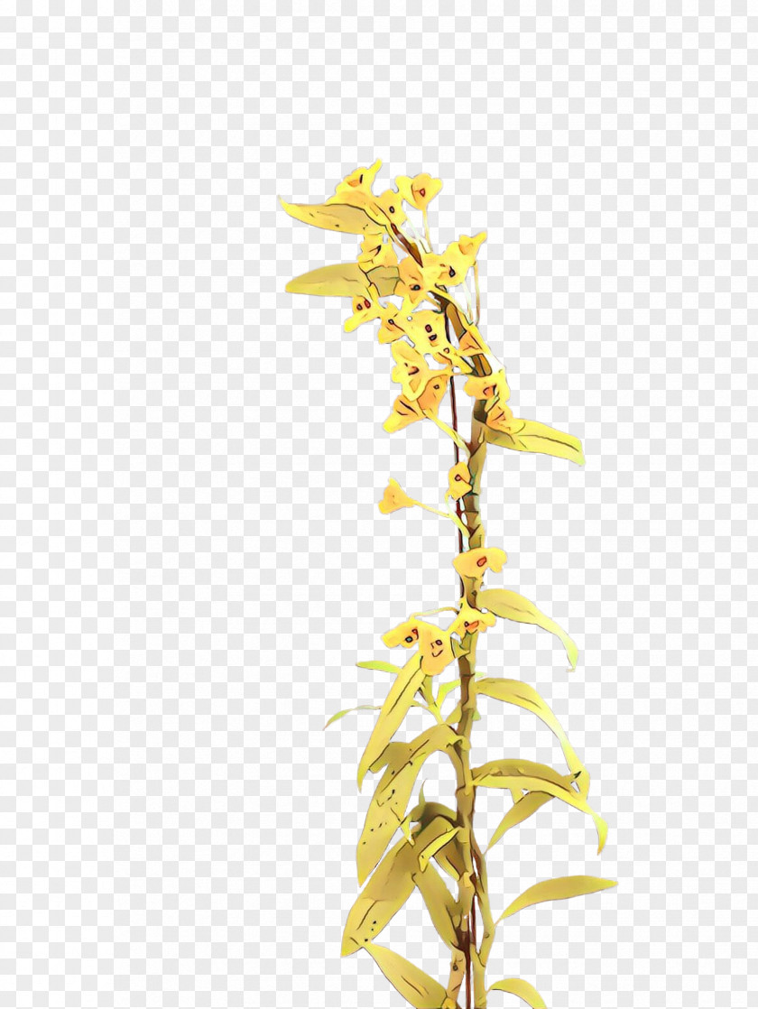 Yellow Plant Flower Twig Branch PNG