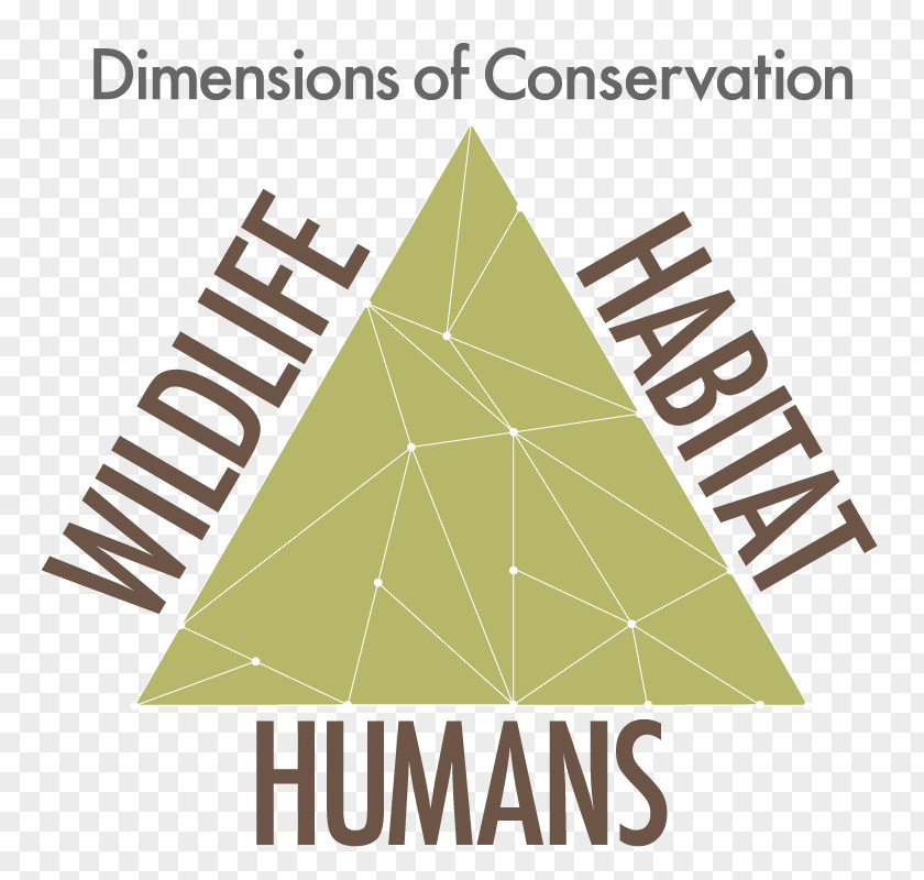 Dimensional Effect 2018 Sustainability United States Conservation Triangle Nature PNG