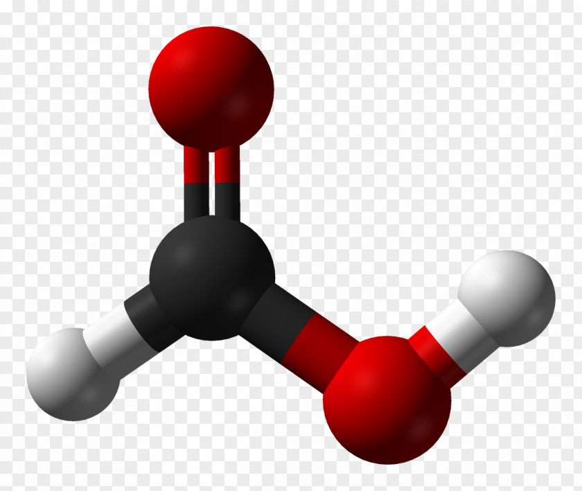 Formic Acid Ant Carboxylic Acetic PNG