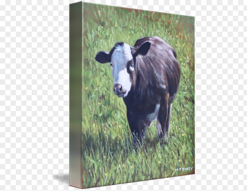Grass On The Cow Dairy Cattle Calf Sheep Pasture PNG