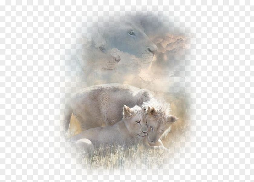 Lion Painting Whiskers Tiger Art PNG