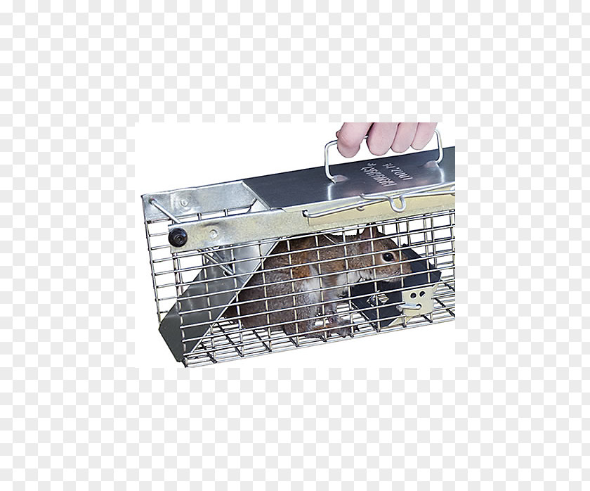 Mouse Trap Squirrel Rodent Trapping Rat Chipmunk PNG