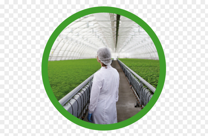 Technology Agriculture Agricultural Science Stock Photography Research Biotechnology PNG