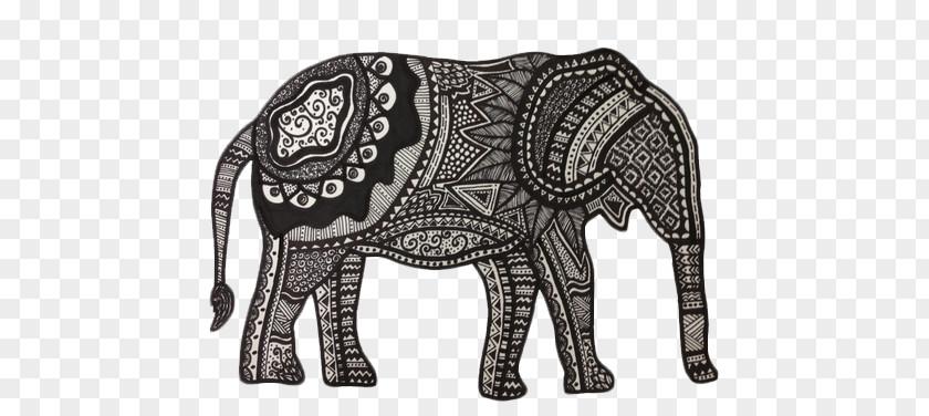 Elephant Indian African Drawing Clip Art PNG