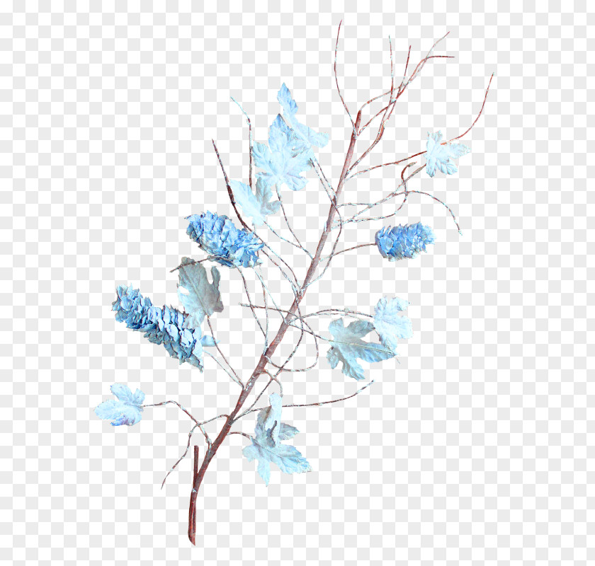 Flower Twig Floral Design Desktop Wallpaper Plant Stem PNG