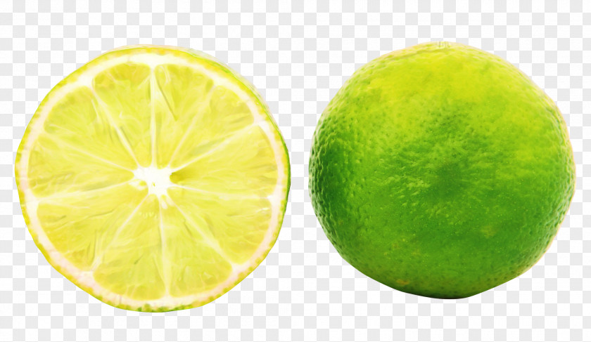 Key Lime Sweet Lemon Persian PNG