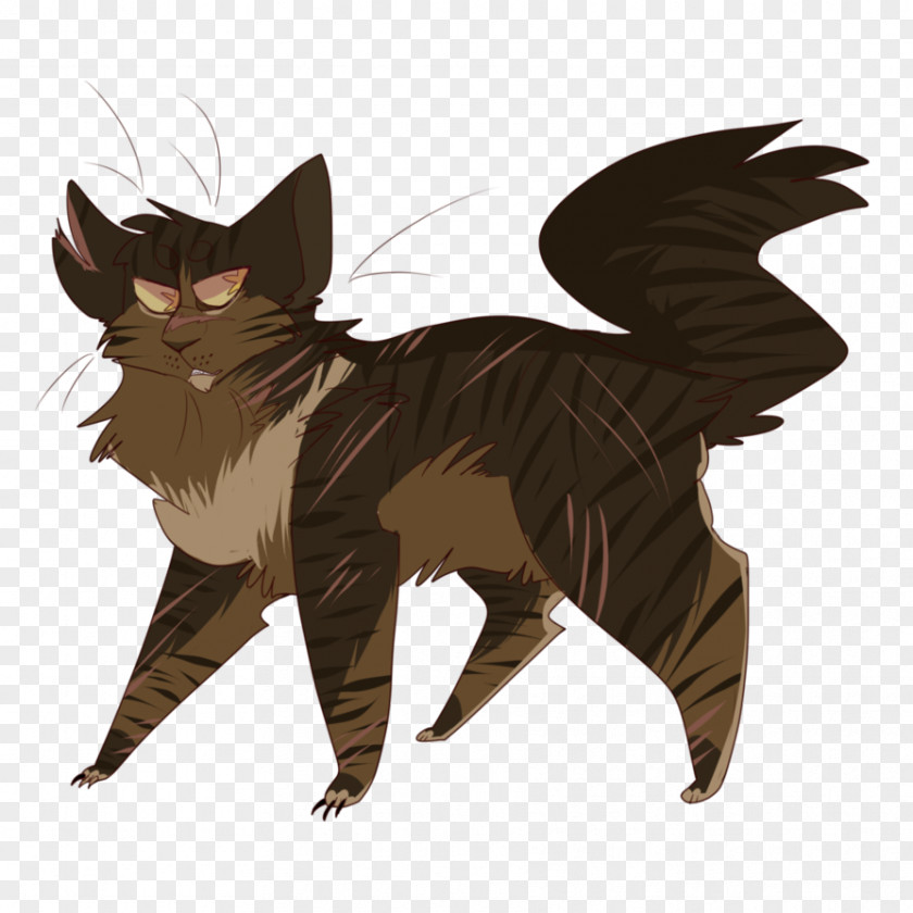 Kitten Whiskers Tabby Cat Tigerstar Warriors PNG