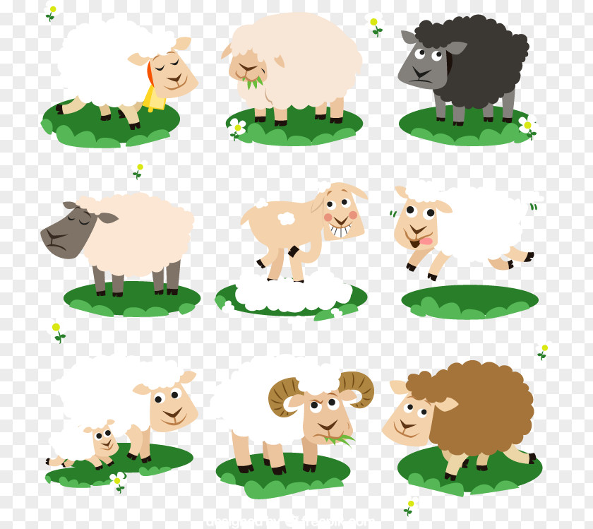 Cartoon Sheep Vector Material, Cattle PNG