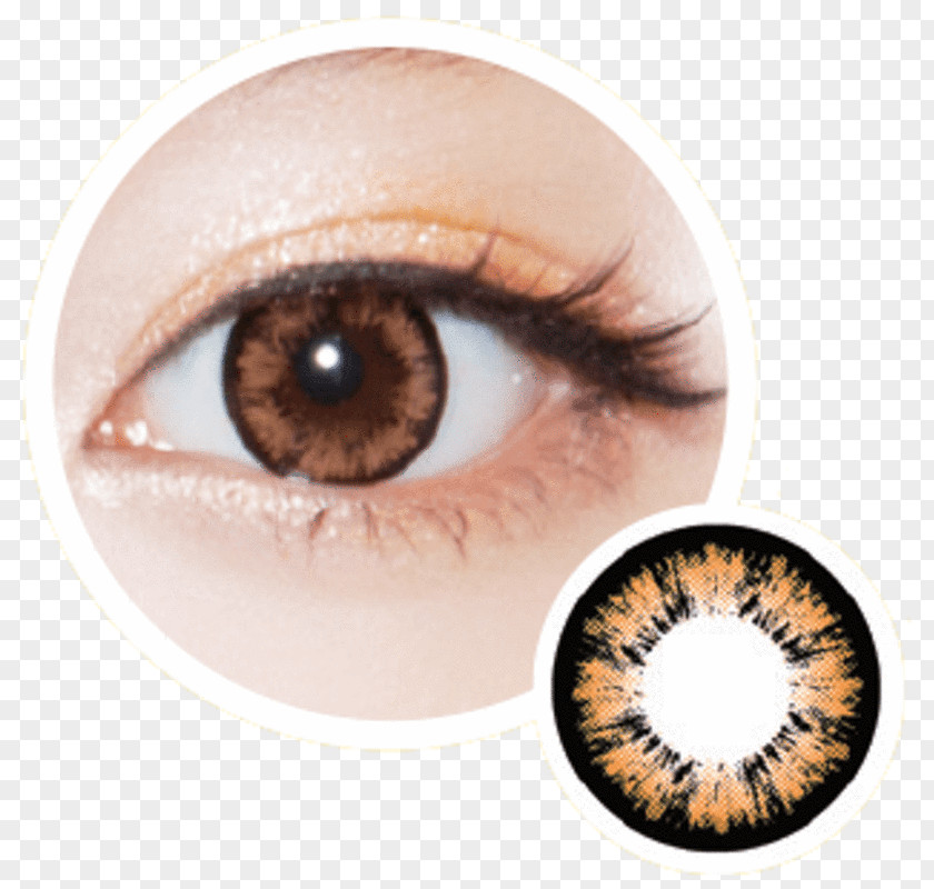 Cat Contact Lenses Circle Lens Cosmetics PNG