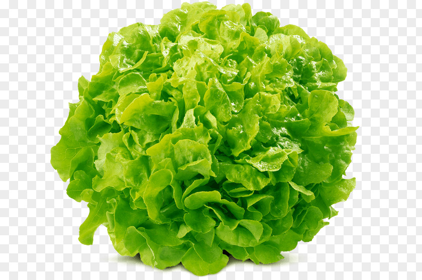 Cauliflower Romanesco Broccoli Mathematics Vegetable PNG