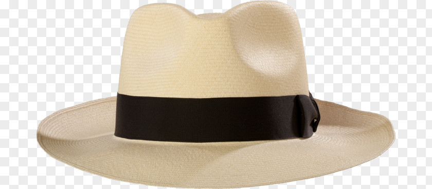 Design Fedora PNG