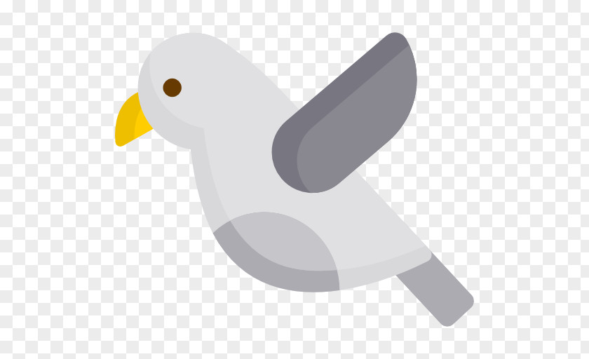 Duck Flightless Bird Wing PNG