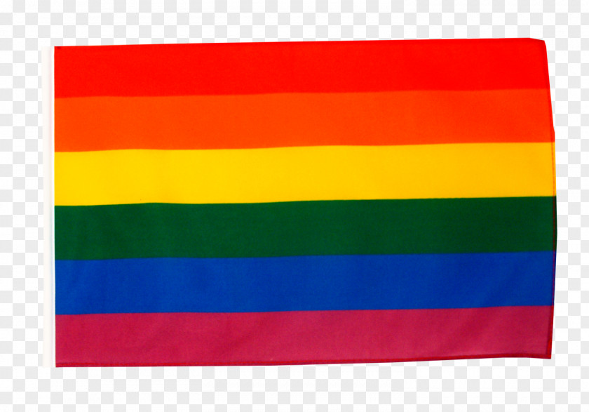 Flag Rainbow Peace Tokyo Pride PNG