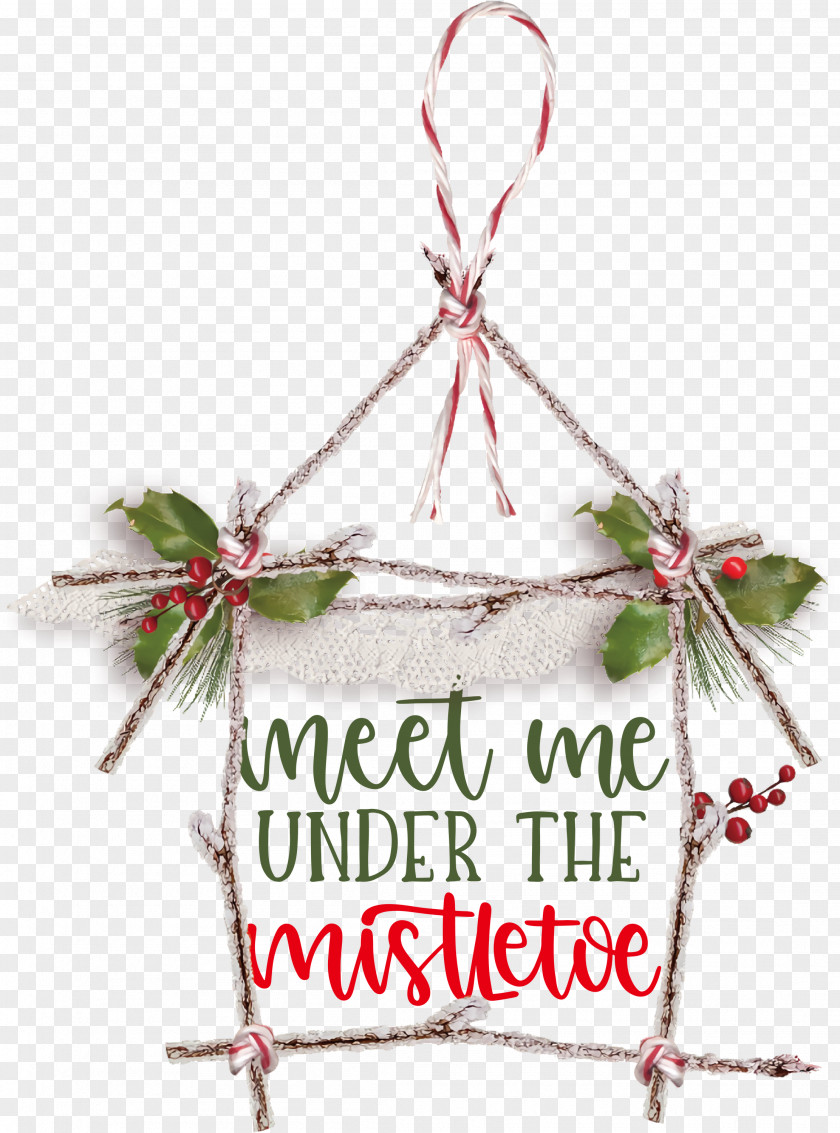 Meet Me Under The Mistletoe PNG