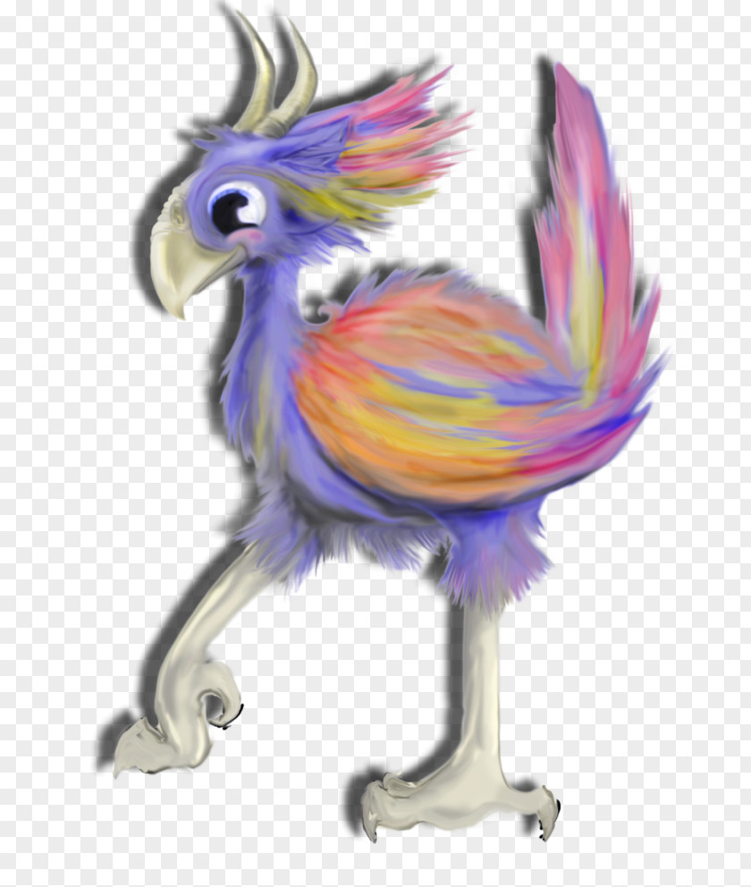Parrot Rooster Illustration Beak Feather PNG