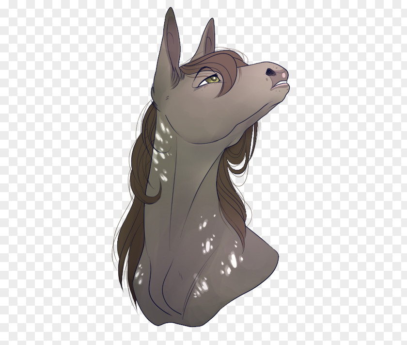 Pretty Lady Whiskers Cat Horse Dog Mammal PNG