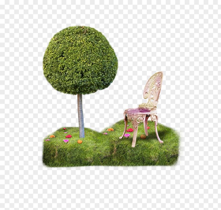 بسم الله الرحمن الرحيم Bienvenue Chez Moi Tree Table Shrub Leaf PNG