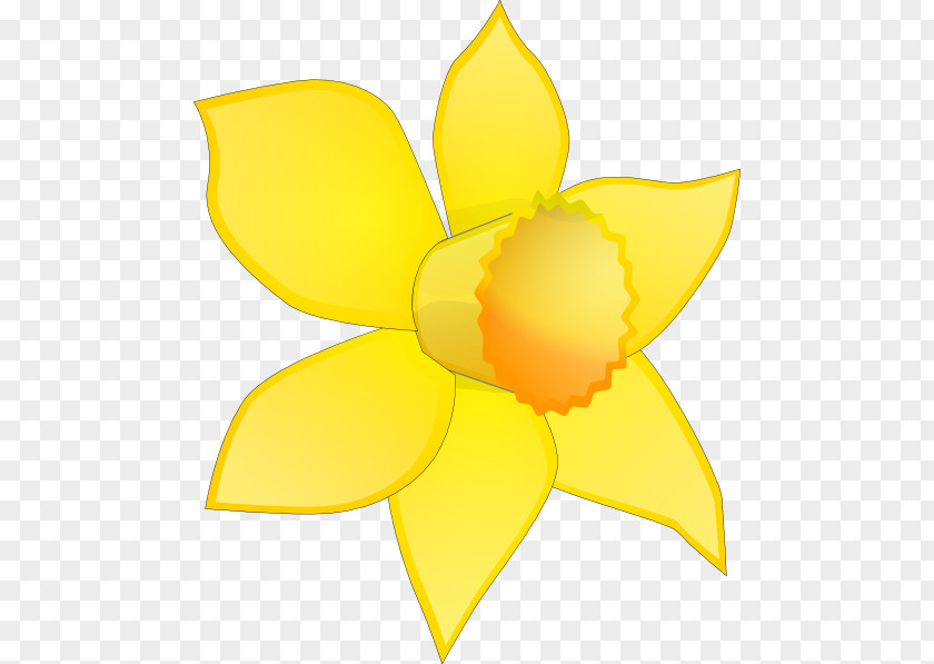 Daffodils Clipart Daffodil Flower Free Content Clip Art PNG