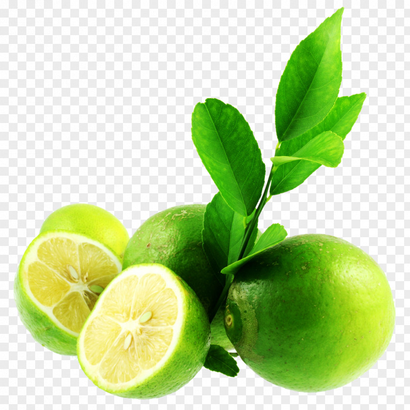 Lime Bergamot Orange Tea Calabria Fruit Citrus Xd7 Sinensis PNG