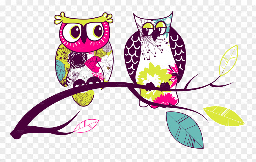 Owls Baby Bird Clip Art PNG