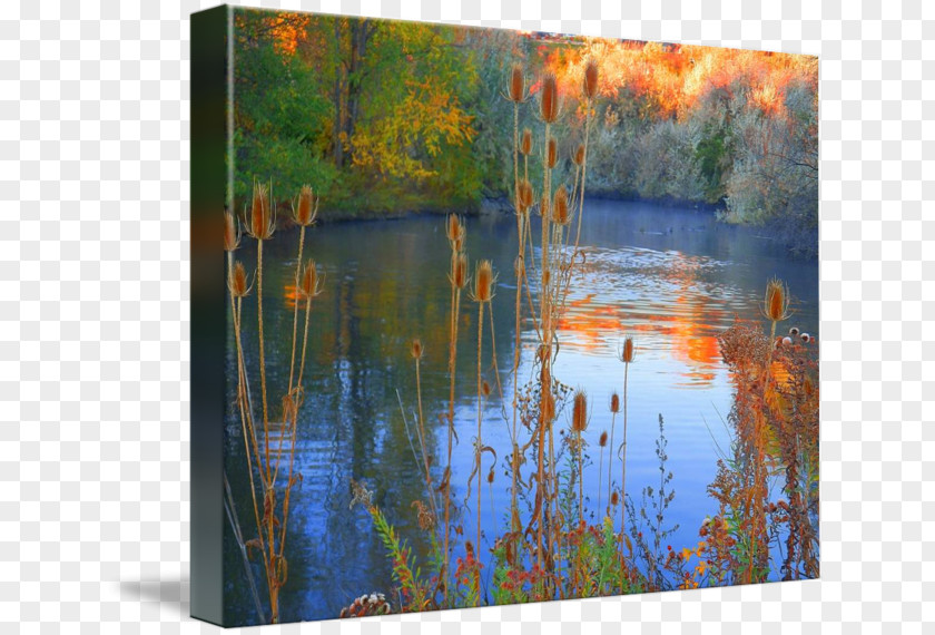 Painting Bayou Acrylic Paint Gallery Wrap Wetland PNG