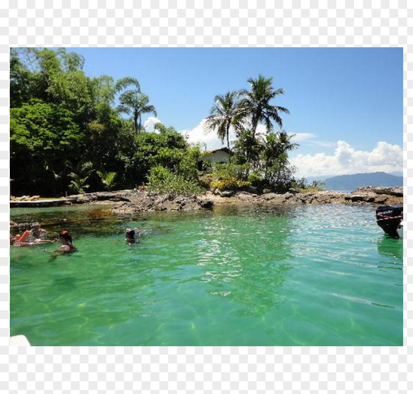 Sea Cove Water Resources Coast Pond PNG