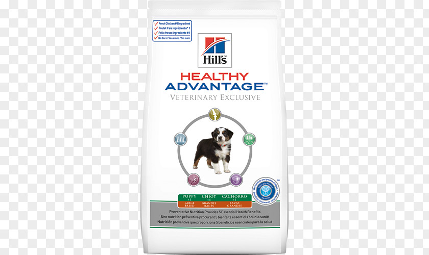 Dog Cat Food Kitten Puppy PNG