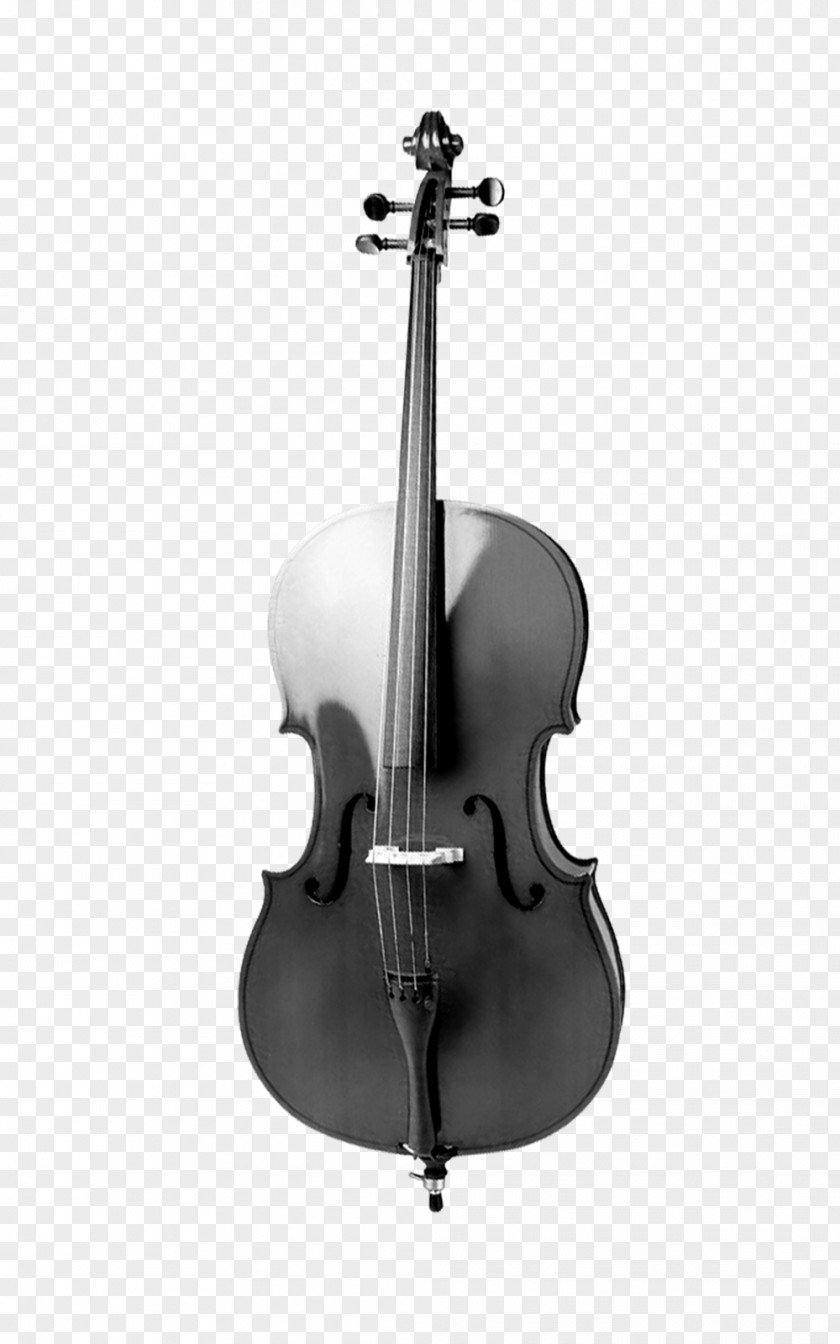 Musical Instruments Violin Cello Instrument PNG