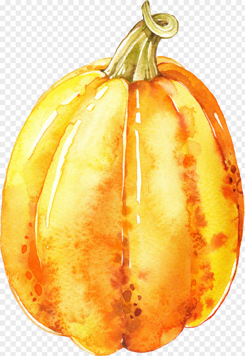 Pumpkin Calabaza Vegetarian Cuisine Gourd Winter Squash PNG