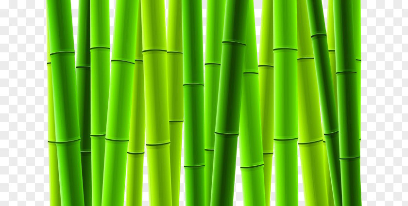 Bamboo Hsinchu Euclidean Vector Tree PNG