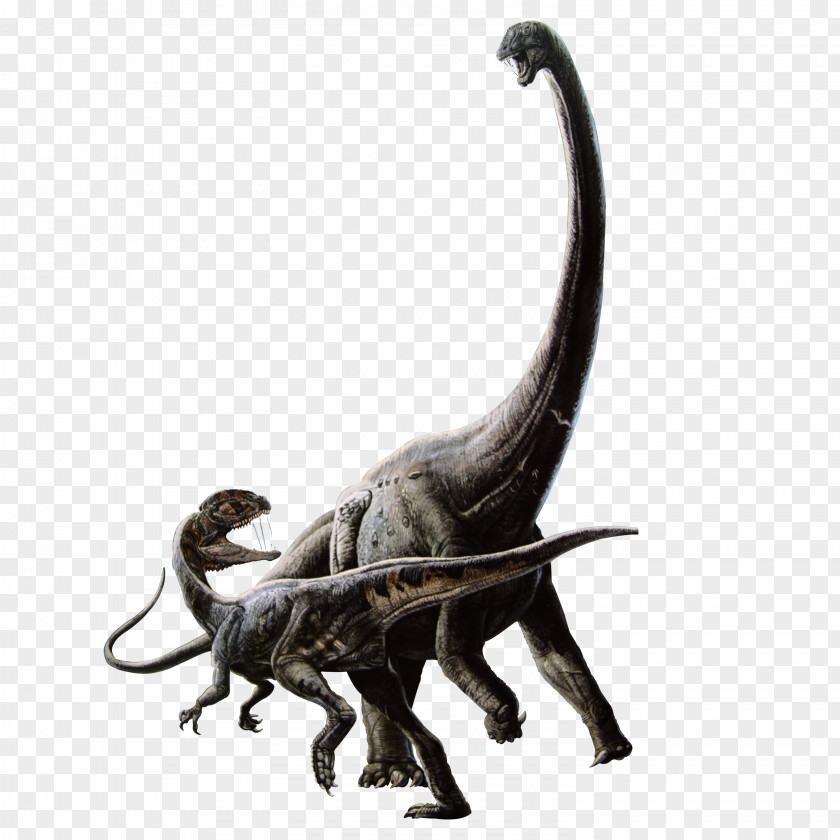 Dinosaur Tyrannosaurus Play PNG
