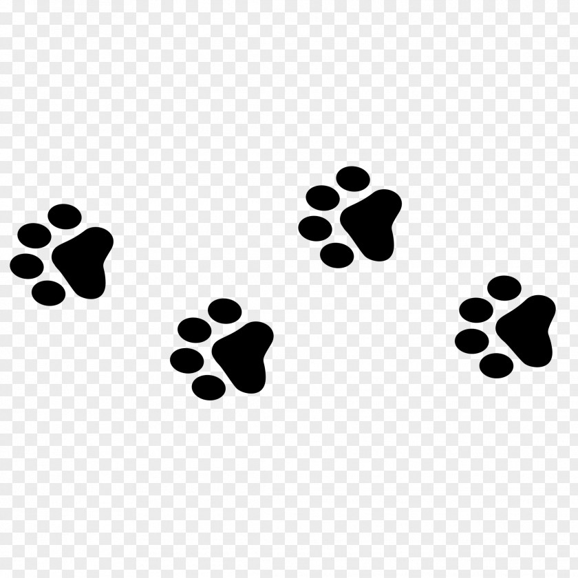 Dog Agility Paw Animal PNG