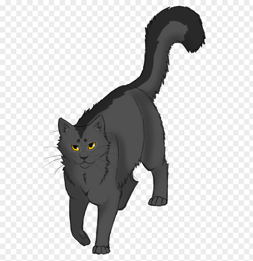 The Fourth Apprentice Into Wild Warriors Graystripe Firestar PNG