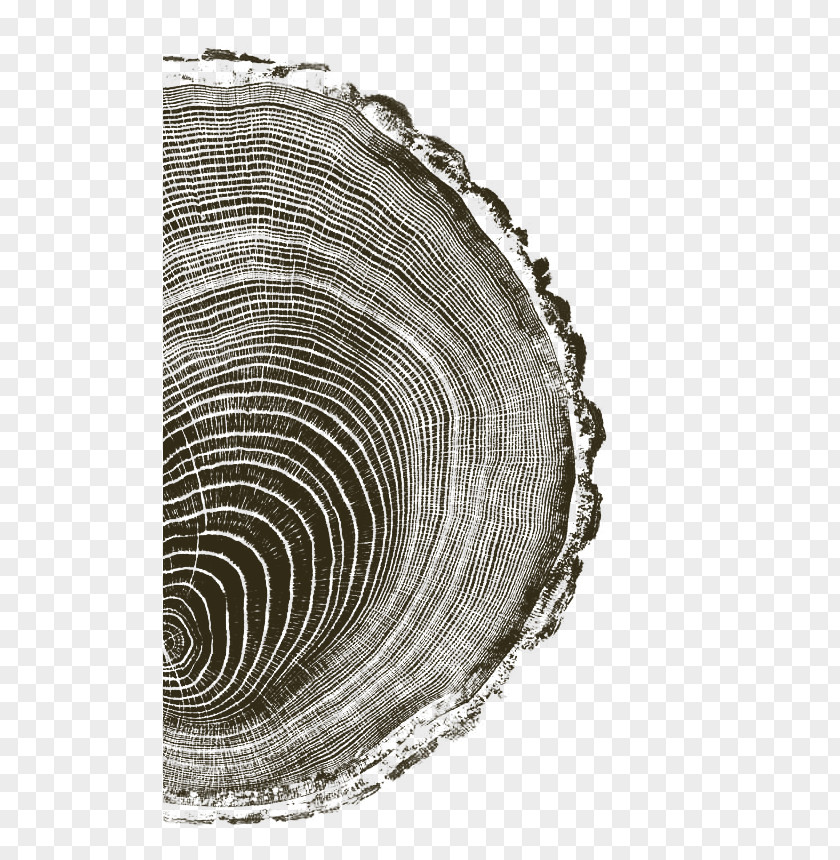 Tree Ring Woodcut Printing Printmaking Art Drawing PNG