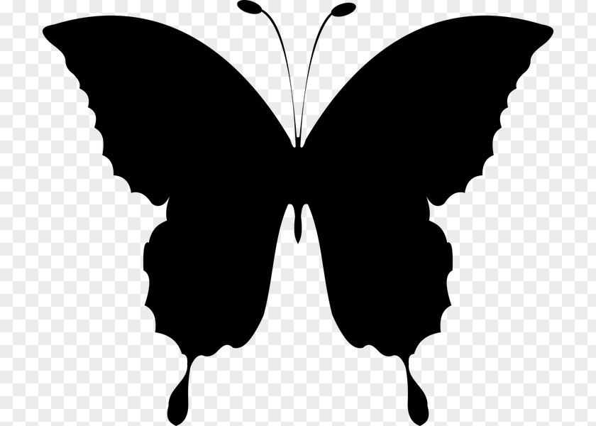 Butterfly Clip Art Openclipart Free Content PNG