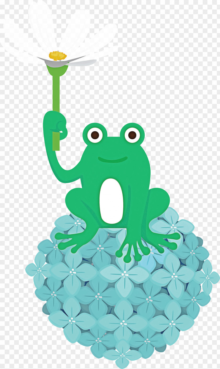 Frogs Cartoon Green Science Biology PNG