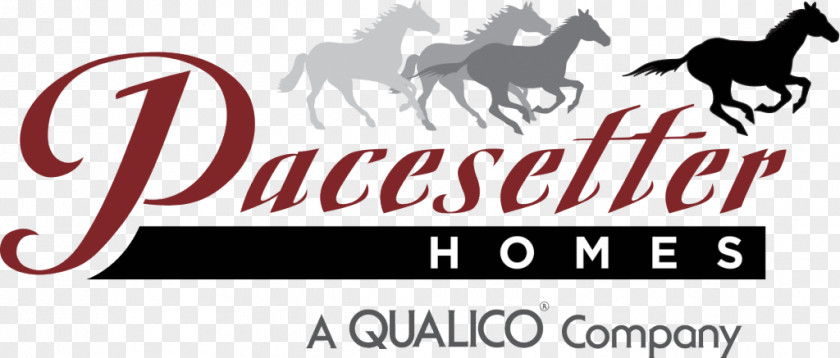2k Logo Pacesetter Homes Ltd House Business PNG