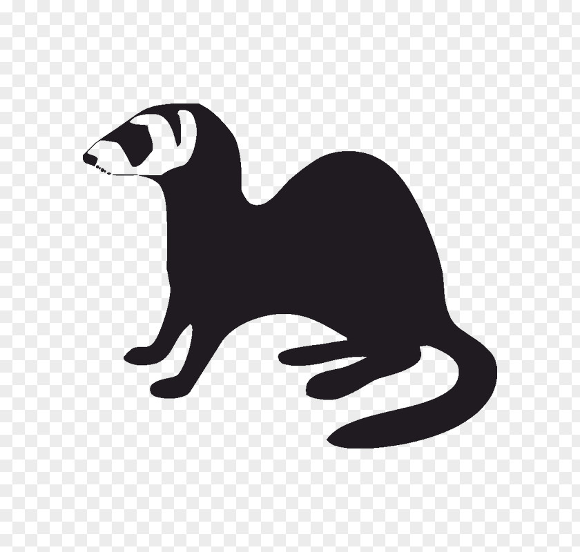 Ferret Black-footed Stoat Silhouette Least Weasel PNG