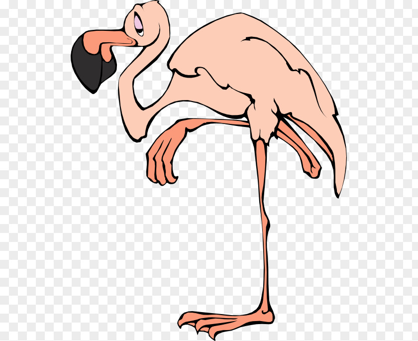 Flamingo Blog Clip Art PNG