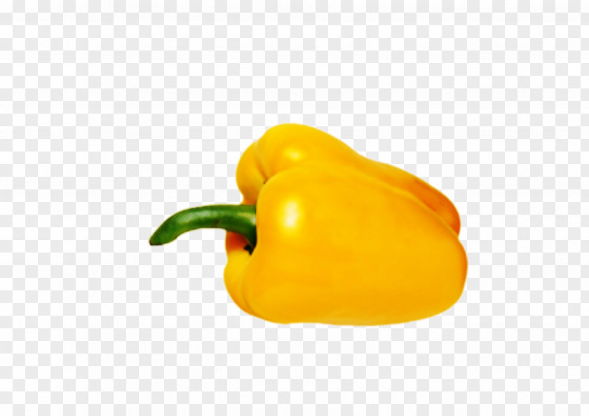 Habanero Chili Vegetable Orange PNG