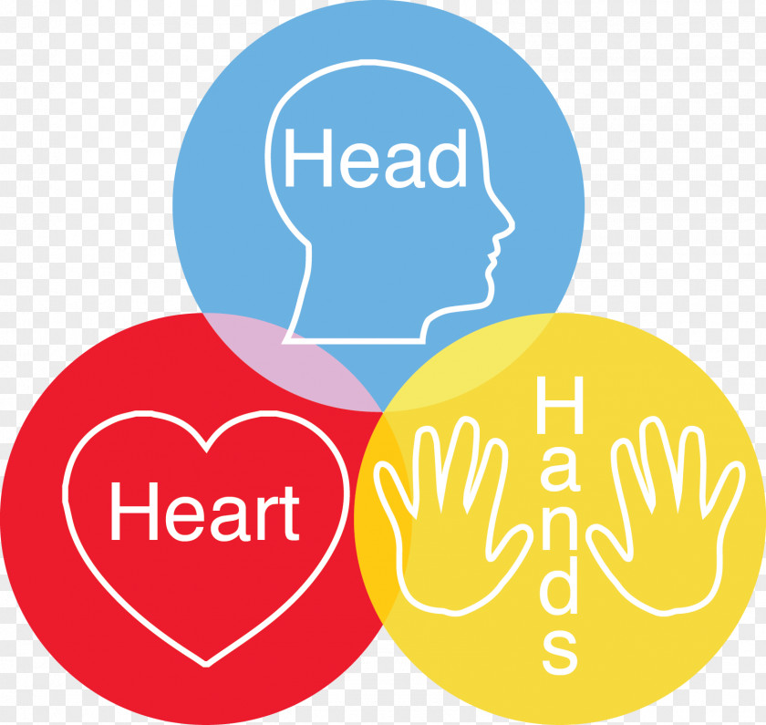 Heart Love Messages Of The Soul Hand Image PNG