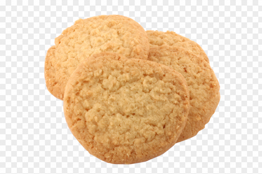 Italy Peanut Butter Cookie Snickerdoodle Anzac Biscuit Polvorón Amaretti Di Saronno PNG