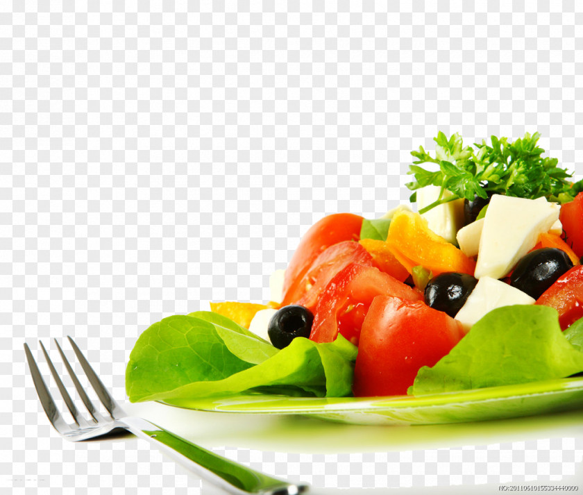 Salad Food Eating Nutrition PNG
