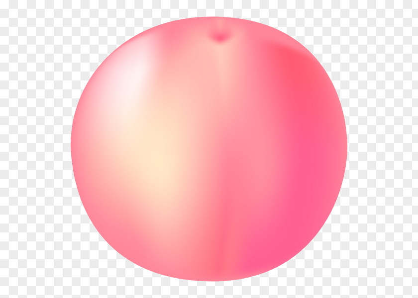 Illustration Peach Product Design Fruit PNG