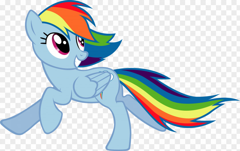 Nemo Rainbow Dash Pony Twilight Sparkle Rarity PNG