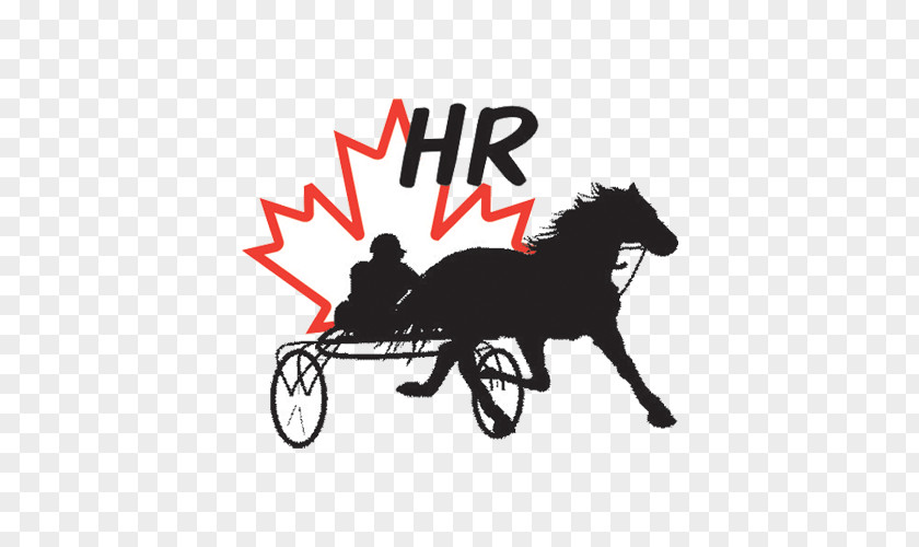 Racing Track Horse Harnesses Woodbine Racetrack Truro Raceway HPItv Harness PNG