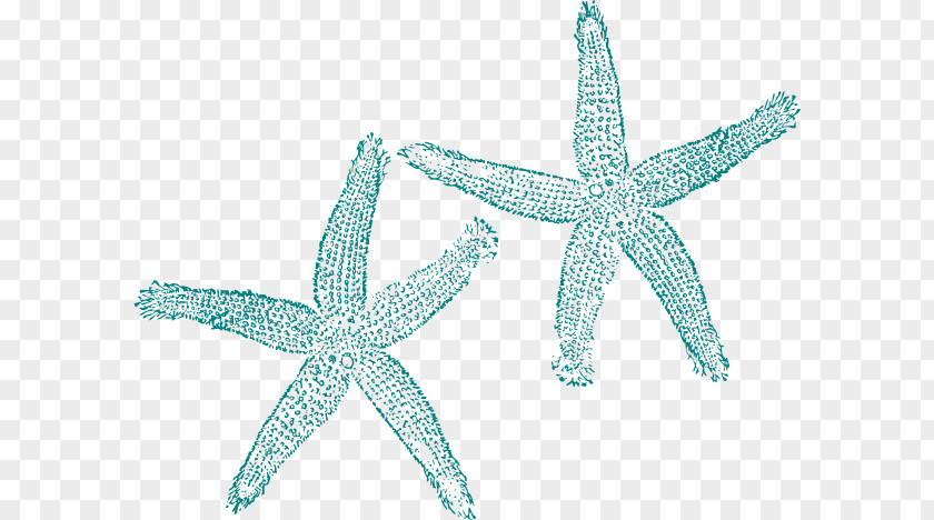 Starfish Turquoise Clip Art PNG