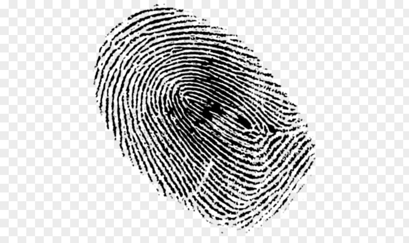 Wage Fingerprint New York City Clip Art PNG