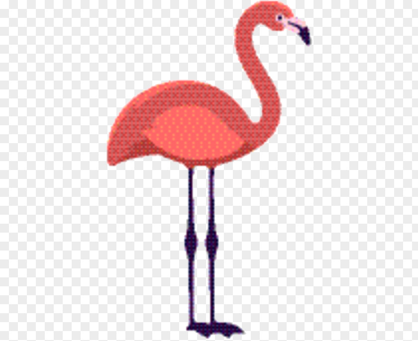 Water Bird Pink Flamingo PNG