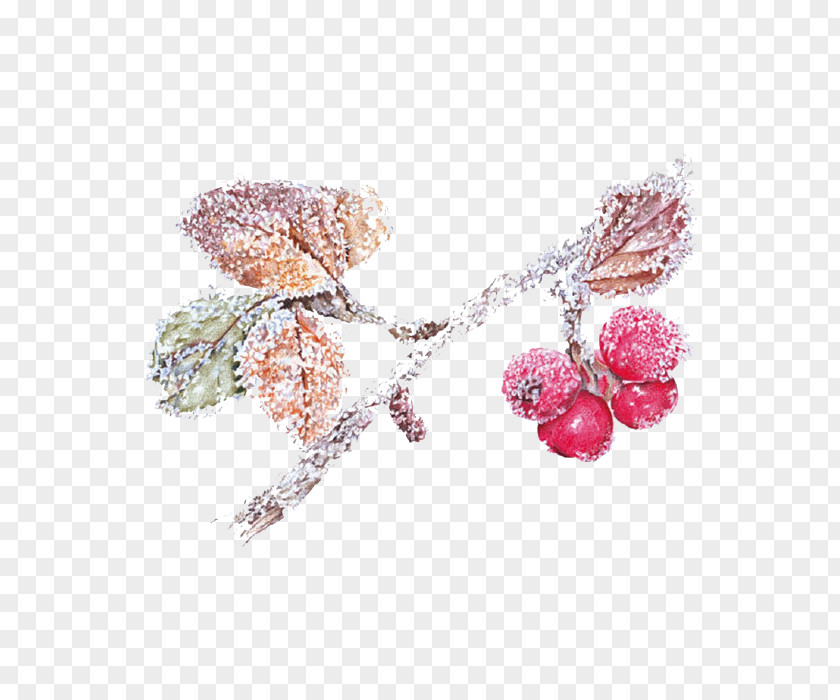 Winter Painted Beautiful Illustration Drawing PNG